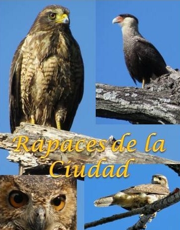 Resultado de imagen para Ribera Norte, la reserva de San Isidro con el 25% de las especies de aves del paÃ­s