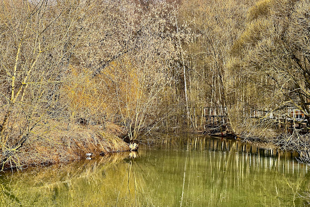 парк Покровское-Стрешнево, река Химка