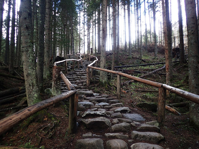 Tak można skrócić sobie drogę na Morskie Oko