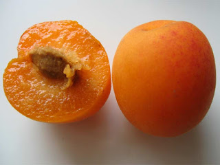 Plumcot Fruit Pictures