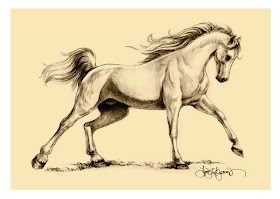 Arabian horse drawing