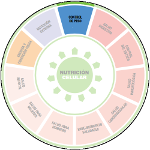 imagen decorativa de LA RUEDA DE NUTRICIÓN INTELIGENTE DE HERBALIFE – CONTROL DE PESO en mi Blog sobre vivir la aventura de manifestar salud y vitalidad jugando deliberadamente con tu energía. Comiendo sano y equilibrado en nutrientes y ejercitando alegremente el cuerpo.