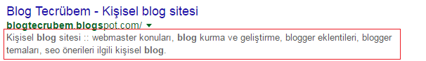 Google arama sonucu görünüm