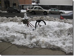 IMG_4010 IMG_4010