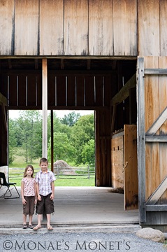 barn 3 blog