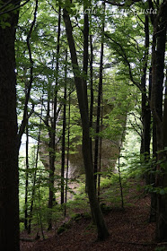 Felsen am Zankelstein