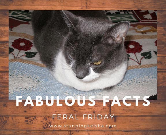 Fabulous Facts for Feral Friday
