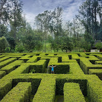 gambar taman labirin