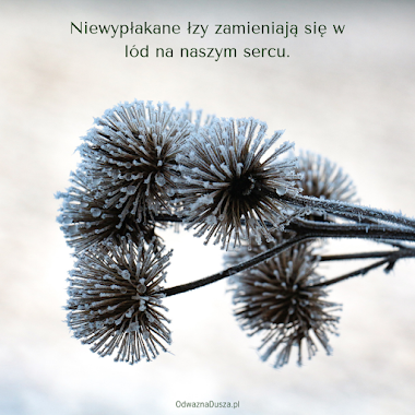 Niewypłakane łzy