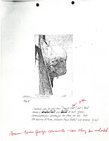 An image with commentary from Moser's papers