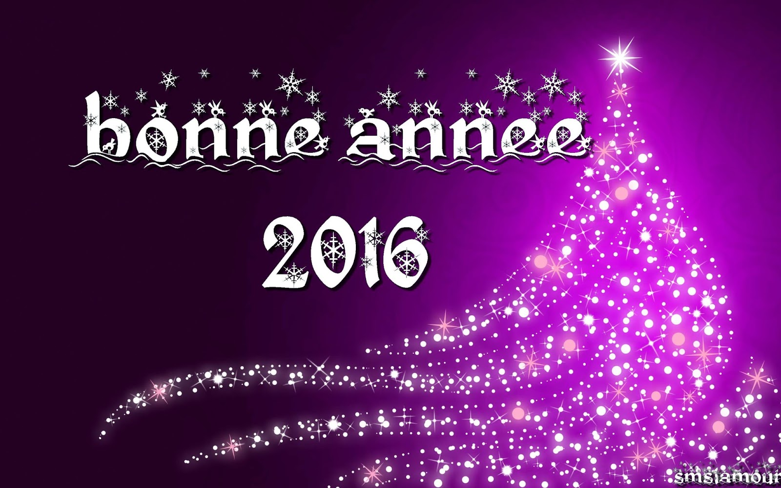 message Bonne annee 2016 ~ message d'amour : Messages et ...