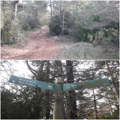 GR-7 ARBOLÍ A MONTRAL, camí al Bosc dels Costers al terme de Vilaplana - Baix Camp - Tarragona