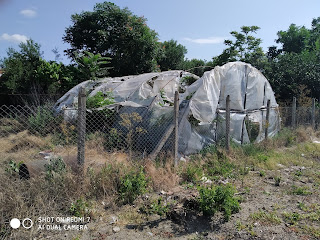 Weather Worn, Greenhouse, Yambol,