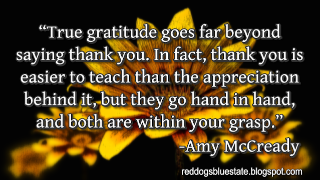 “True gratitude goes far beyond saying thank you. In fact, thank you is easier to teach than the appreciation behind it, but they go hand in hand, and both are within your grasp.” -Amy McCready