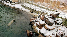 北海道 おたる水族館