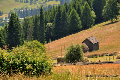 Ciumarna Pass, Pasul Ciumarna, Pasul Palma, Bucovina, Landscapes, Romania, Sucevita, Sucevita Monastery, Moldovita Monastery