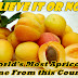 Where Do Most of the World's Apricots Come from this Country?
