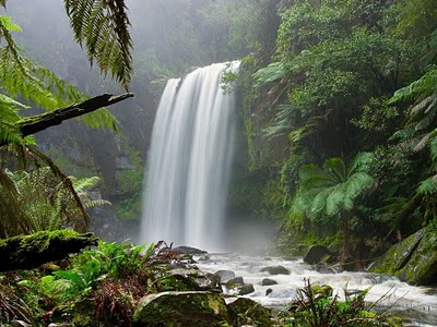 salto-de-agua-en-el-interior-de-un-frondoso-bosque