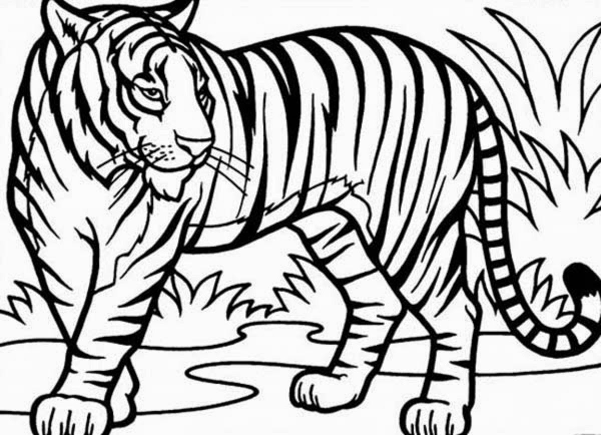  Tiger Coloring Pages 9