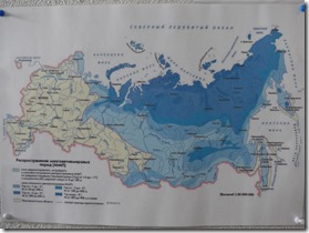 carte du permafrost