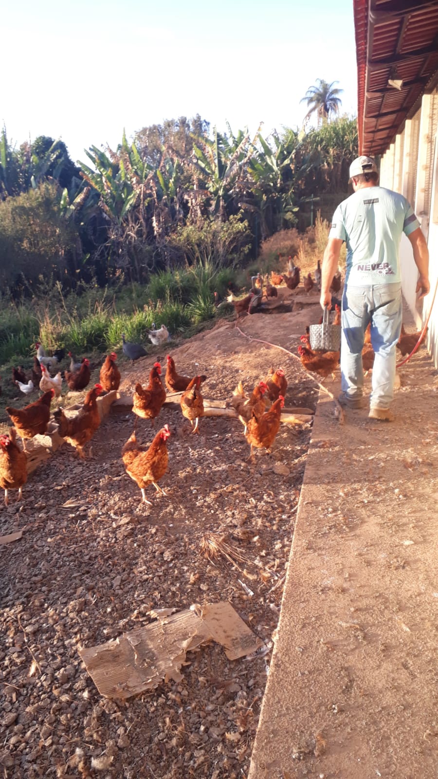 Recanto Monsenhor Domingos - Hospedagem em meio à natureza da Estrada Real