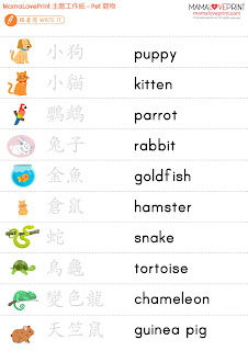 MamaLovePrint 主題工作紙 - 我的竉物 My Pet Worksheets Vocabulary Exercise for School Printable Daily Activities