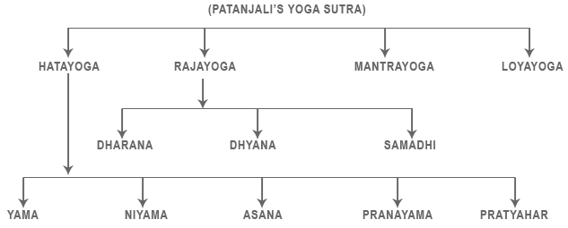 Difference in Yogasana and Gym Exercise