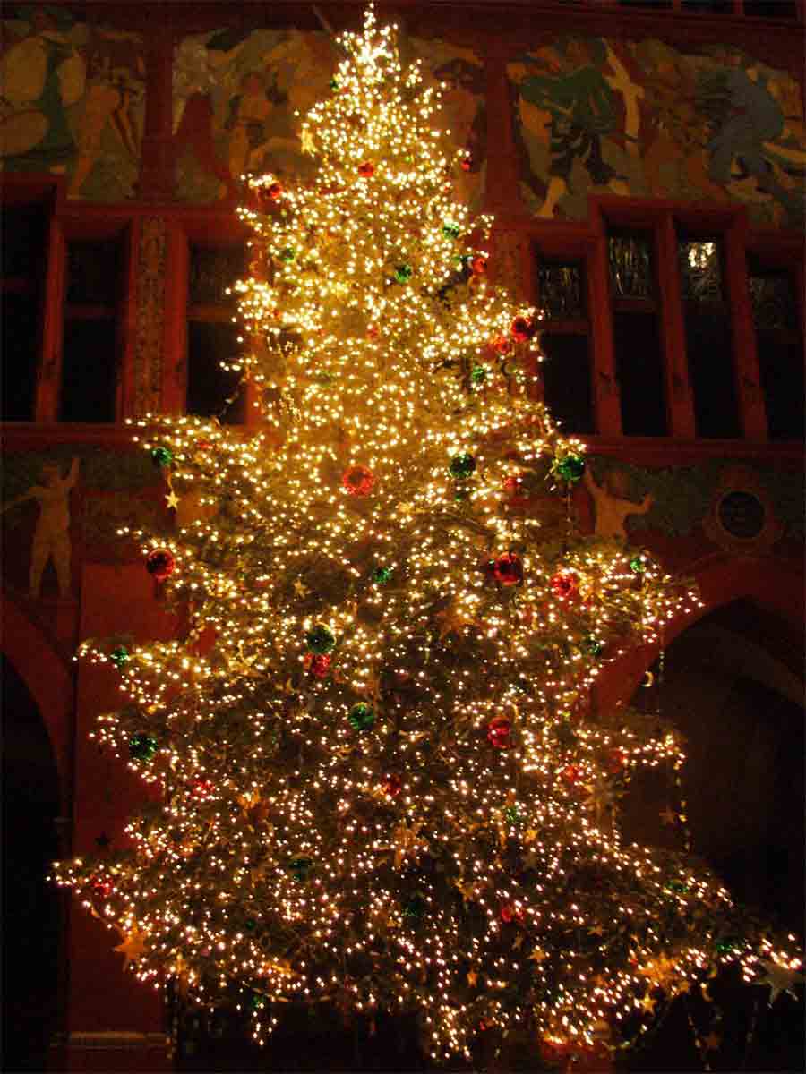 IMAGE WORLD: Beautiful Christmas Tree Pictures 