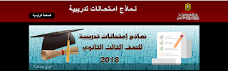 تحميل مباشر بدون لينكات تحميل  نماذج تدريبية لامتحانات الثانوية العامة للعام الدراسي 2017 - 2018 ( نموذج اول) و( نموذج ثان)