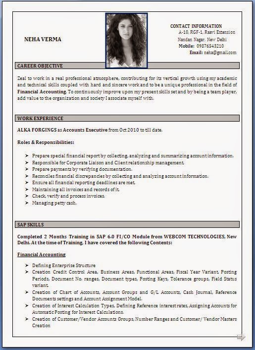 Good Resume Example In India 