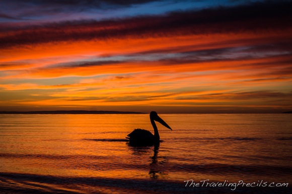 Ultimate Experience at Kangaroo Island 