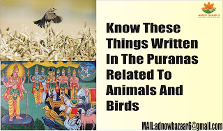 Know These Things Written In The Puranas Related To Animals And Birds