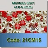 21CM15 copy