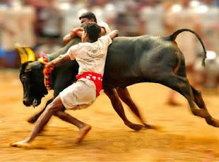 Every South Indian need to know about #Jallikattu. A Complete History of Jallikattu