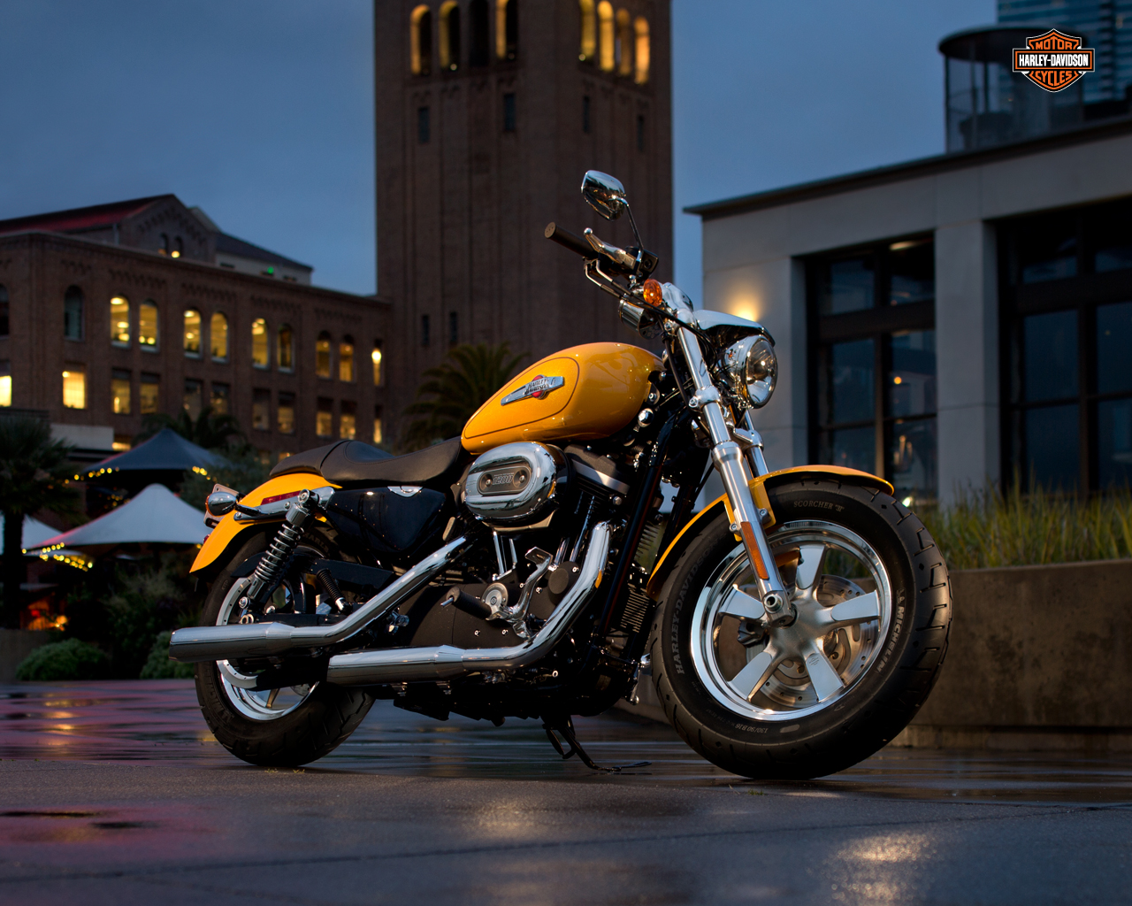 custom harley davidson bikes Harley-Davidson 1200 Custom 110th Anniversary Edition Sportster