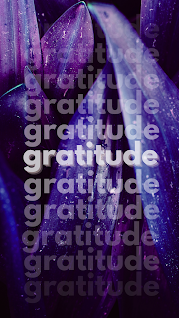 gratitude insta page