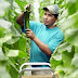 Migrant Foreign Farm Workers