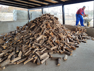 So much wood, all needing to be stacked