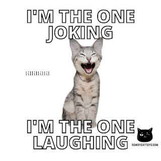 Funny cat jokes by rowdycattoys.com