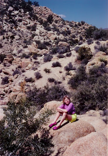 California desert 1995