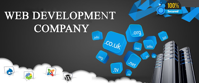 Website development Company