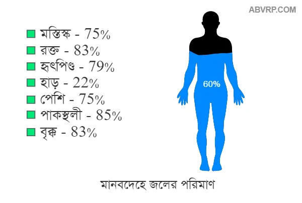 মানুষের দেহে জলের পরিমাণ - চিত্র