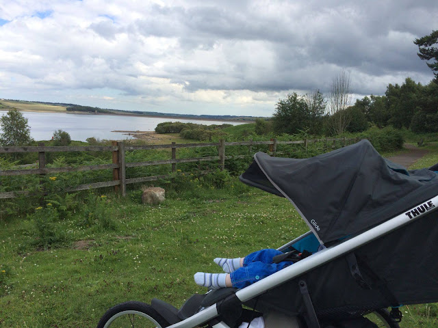 13 of the best pushchair-friendly walks around North East England as recommended by local parents - derwent reservoir