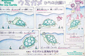 Sea turtle requests on sign in Japanese and English