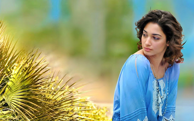 Tamanna Bhatia Hairstyle Wallpaper in HD