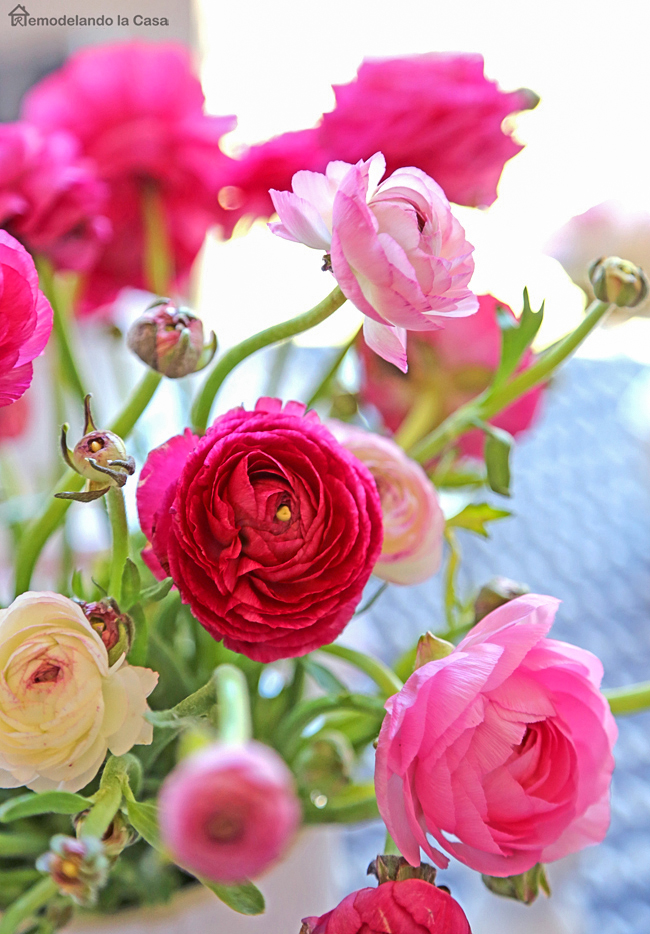 pink ranunculus to bring a good pop of pink to your Easter table