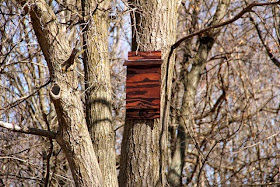 newly installed bat house (front view)