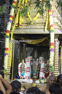 Vaikunta, Ekadesi,Paramapatha Vasal,Dharisanam, Sri PArthasarathy Perumal, Perumal, Venkata Krishna , Varushotsavam, 2017, Video, Divya Prabhandam,Triplicane,Thiruvallikeni,Utsavam,