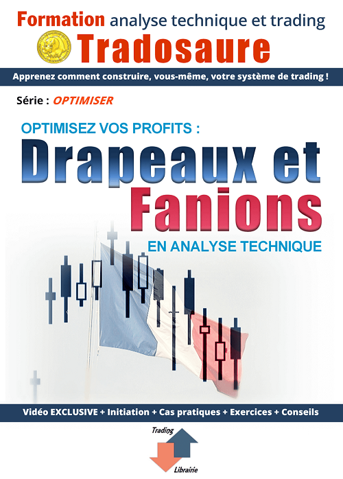 drapeaux-fanions-bourse-formation-video