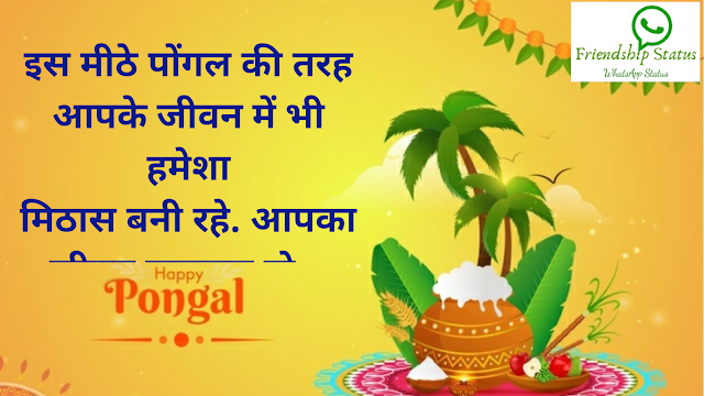 Pongal Wishes in Hindi